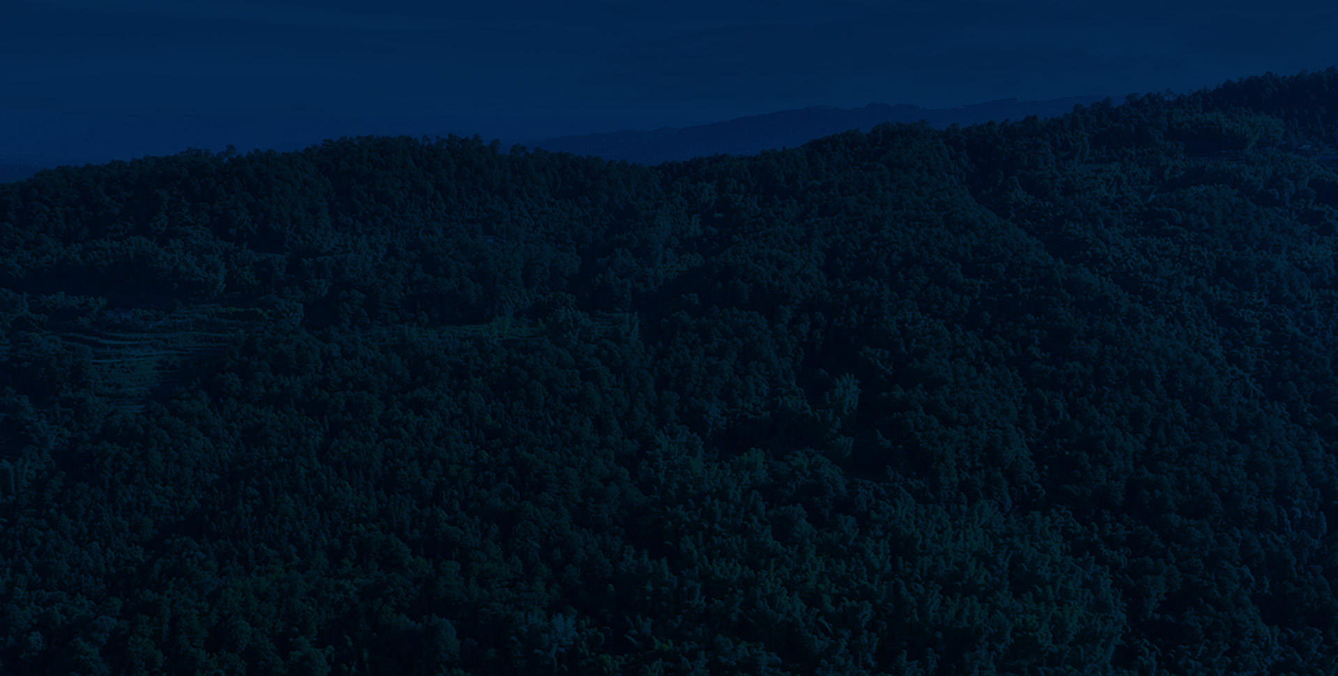 森林巡檢方案架構