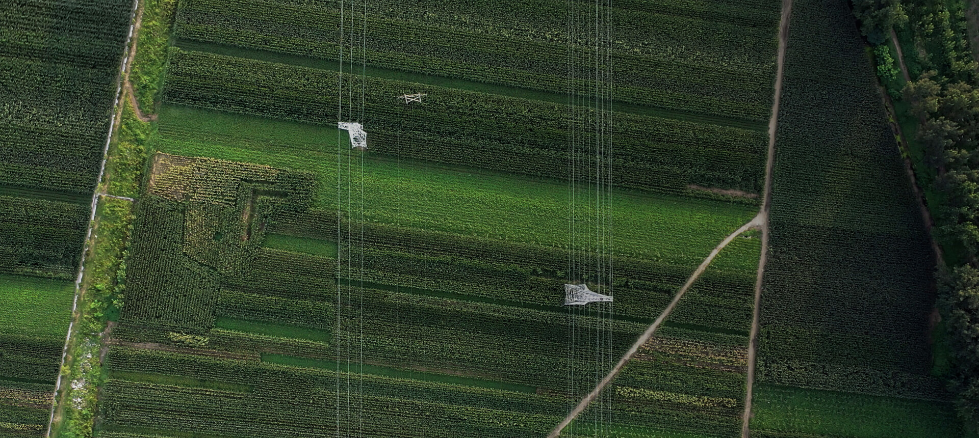 電網基礎設施巡檢方案